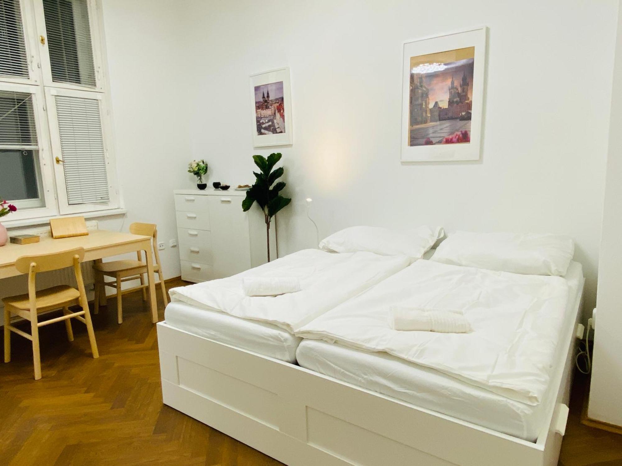 Maiselova Old Town Apartment 布拉格 外观 照片