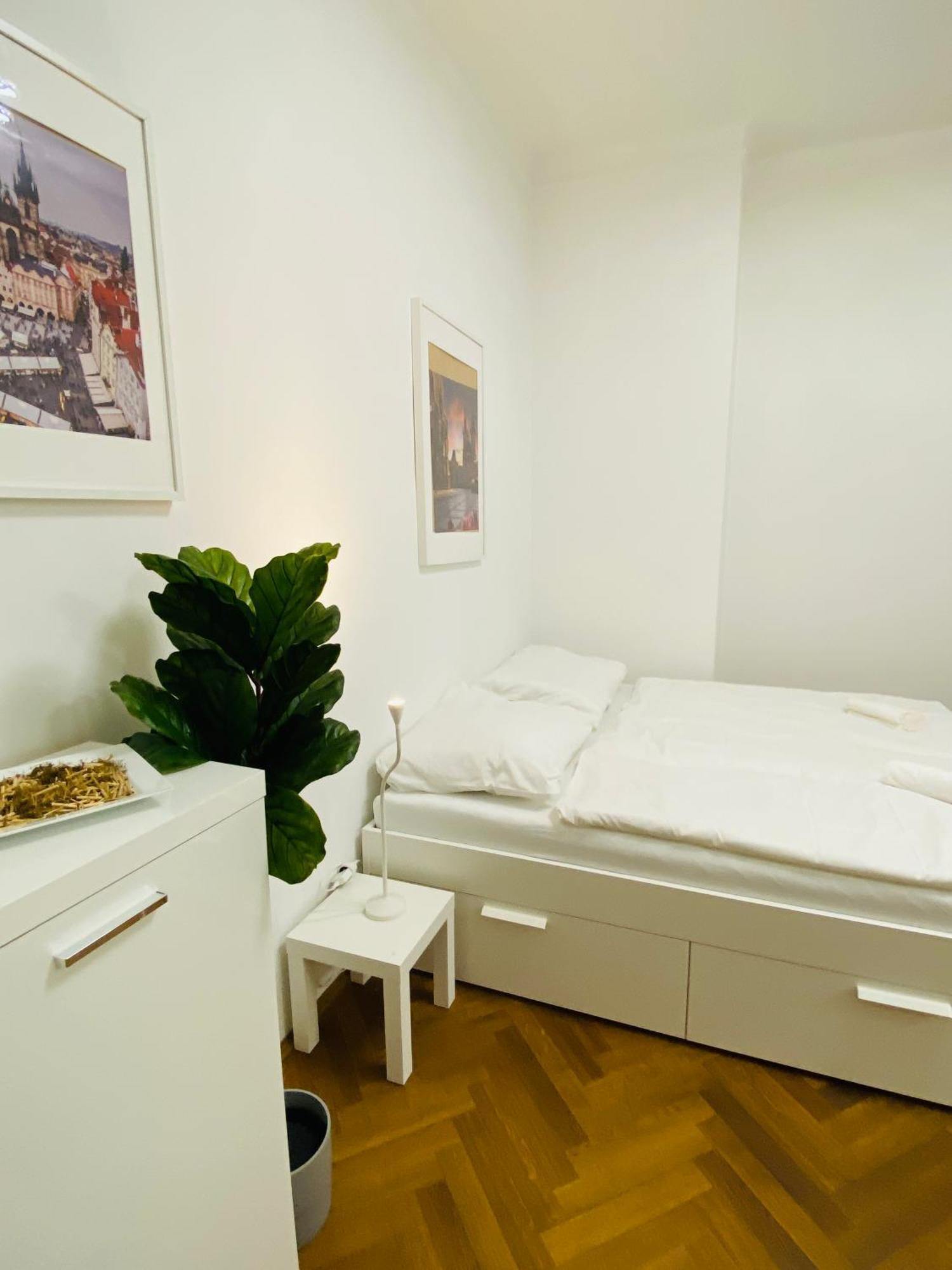 Maiselova Old Town Apartment 布拉格 外观 照片